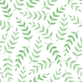 11选5卫星网络正式VIP极光版-11选5卫星网络安卓/IOS手机APP下载安装官方正版